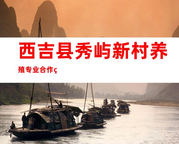 西吉县秀屿新村养殖专业合作社